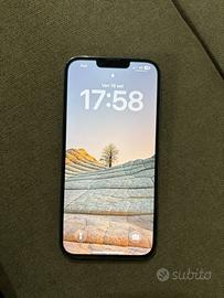 iPhone 13pro max