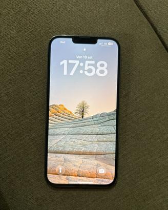 iPhone 13pro max