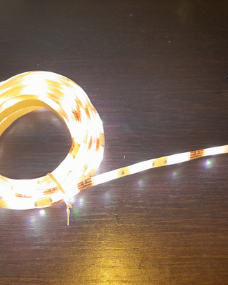 Striscia luci LED multicolore