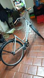 bici da passeggio
