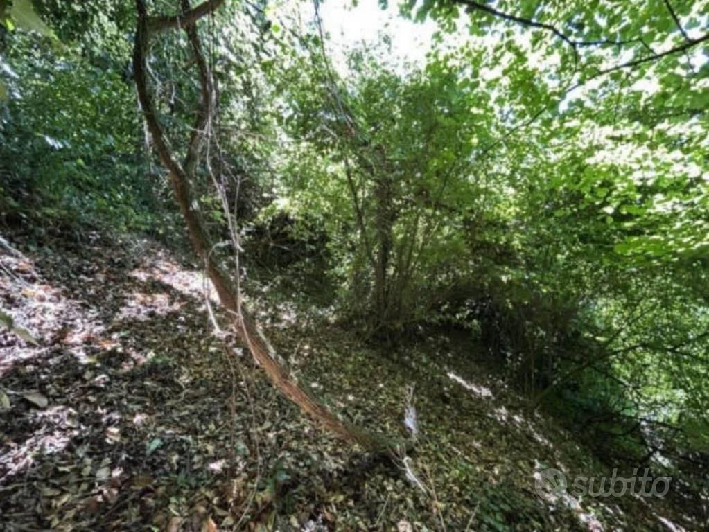 Immobile in asta di 3402 m² a Piozzo - Vista 3