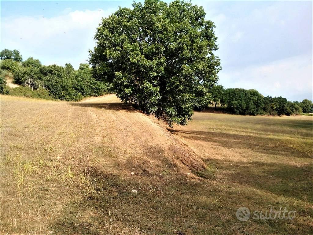 Terreno di 124220 m² a Montefalco - Vista 3