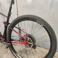 MTB Lee cougan rampage innova 