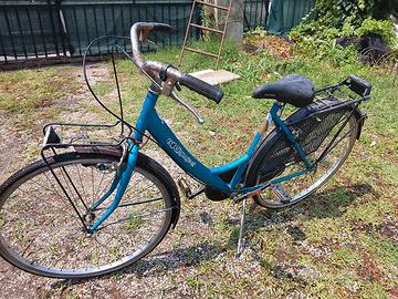 BICI DA CITTA Portapacchi + Cestino