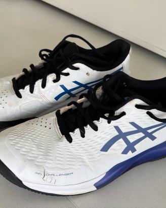 Asics Gel Challenger 14 Tennis 44 terra rossa clay