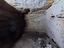 Immagine 15