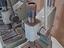 Immagine 5