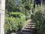 Immagine 24