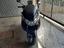 Immagine 4