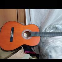 chitarra Beko 