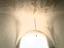 Immagine 18