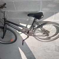 bicicletta mbx ragazzo