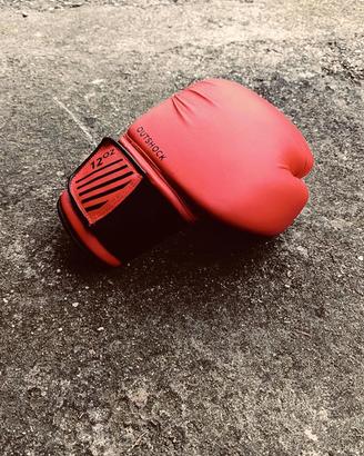 Guantoni da pugilato 