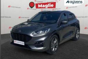Ford Kuga 2.0 EcoBlue 120CV 2WD ST-Line Auto,...