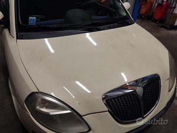 Cofano LANCIA YPSILON del 2006