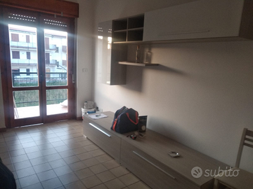 Santa maria del cedro