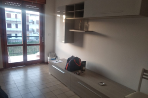 Santa maria del cedro