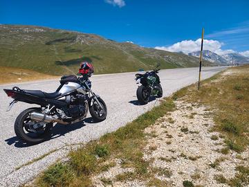 bandit 650