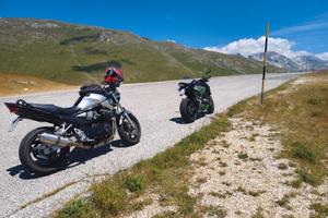 bandit 650