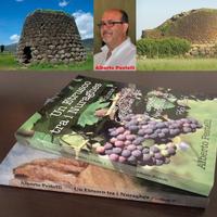 Un Etrusco tra i Nuraghes, Voll. 1 e 2,A. Pestelli