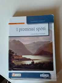 i promessi sposi di marco romanelli