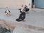 Immagine 3