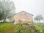 Immagine 16