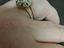 Immagine 2