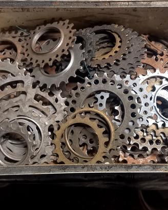 Pignoni Bici da Corsa