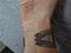 Immagine 3