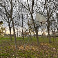 Canestro