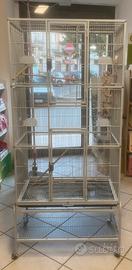 Voliera per pappagalli