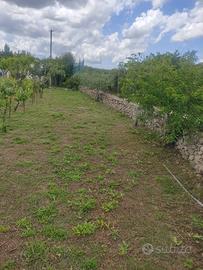 Terreno agricolo Luras