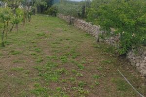 Terreno agricolo Luras