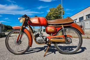 Atala Rizzato 50 Super Sport 3v Freccia d'Oro