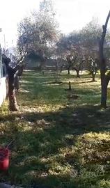 Lotto edificabile a San Giuseppe di Giungano