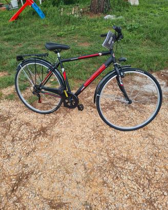 bicicletta da uomo nuova