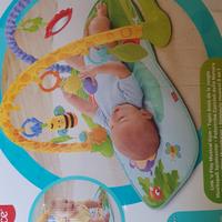 Palestrina sonora cuccioli natura