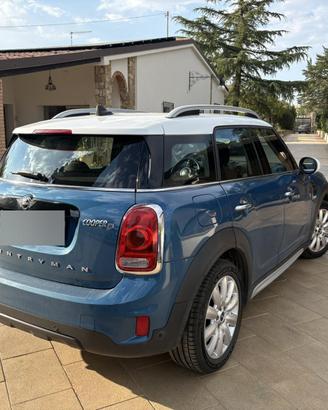 Mini countryman