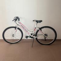 Bicicletta mountain bike Frejus