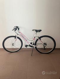 Bicicletta mountain bike Frejus