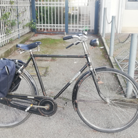 Bici Vicini vintage