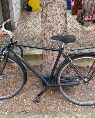 Bici usata ideale per studenti + LUCCHETTO E CHIAV