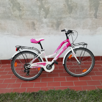 Bicicletta da