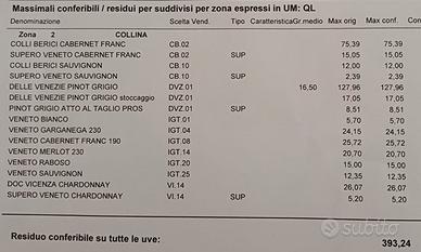 Quote vigneto diritti reimpianto