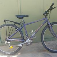 Specialized Rock Hopper 