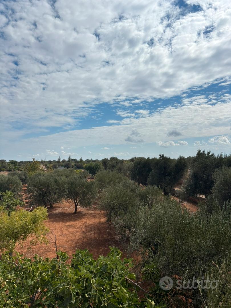 Casa – BR - Vista 2
