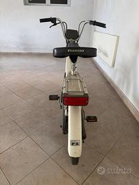 Ciao PX 1981