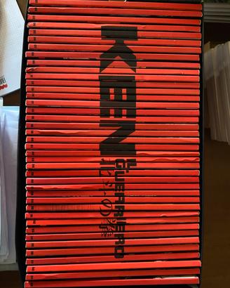 Dvd ken il guerriero