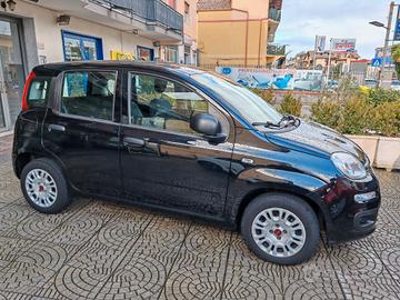 Fiat Panda 1.2 EasyPower Easy GPL